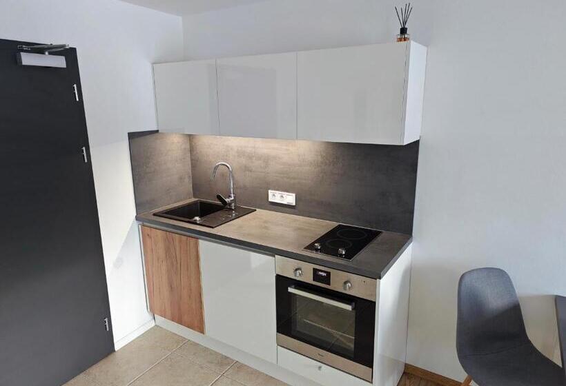 חדר סטודיו סטנדרד, Apartmány 91 Boží Dar