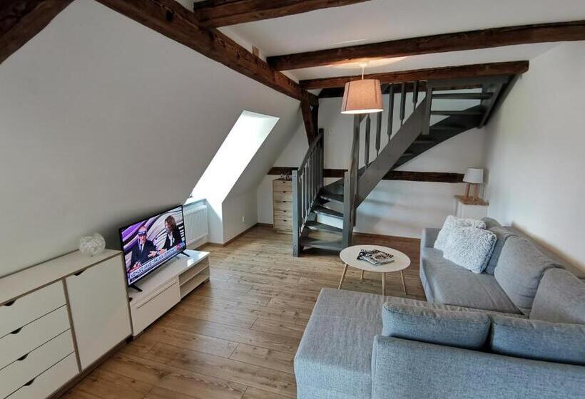 דירת דופלקס בת חדר שינה 1, Apartmány 91 Boží Dar