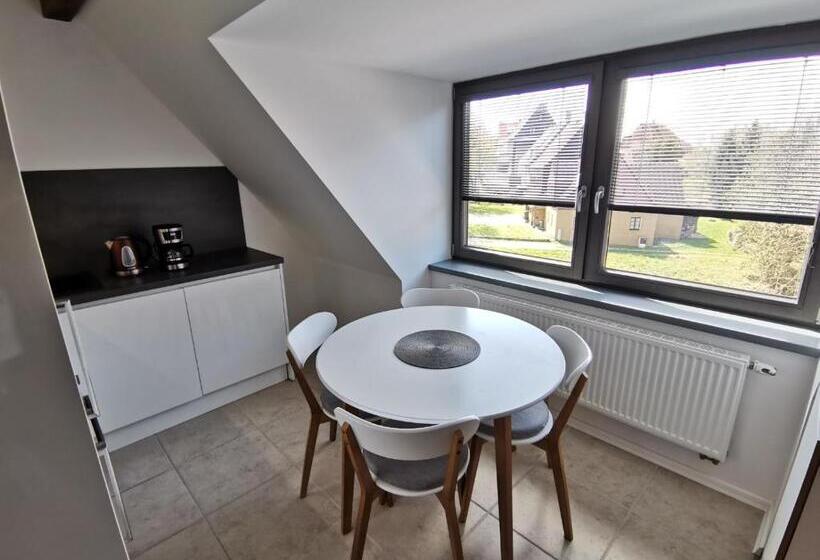 דירת דופלקס בת חדר שינה 1, Apartmány 91 Boží Dar