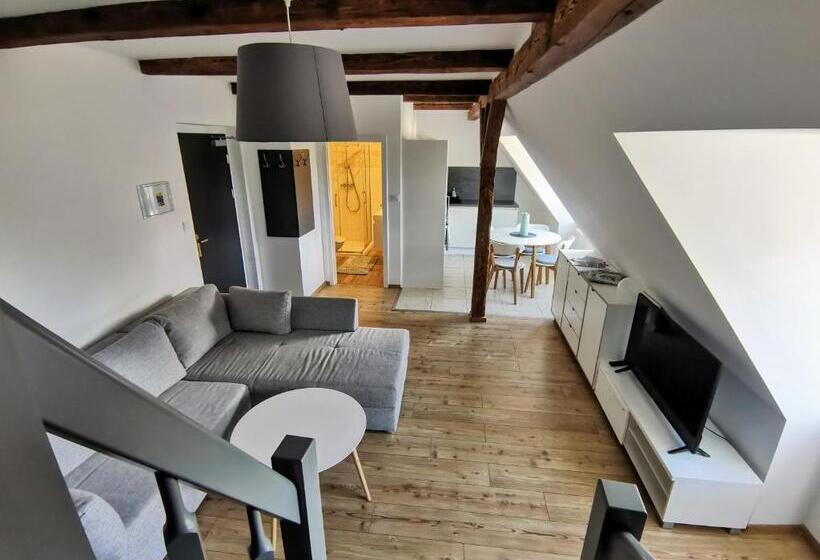 דירת דופלקס בת חדר שינה 1, Apartmány 91 Boží Dar