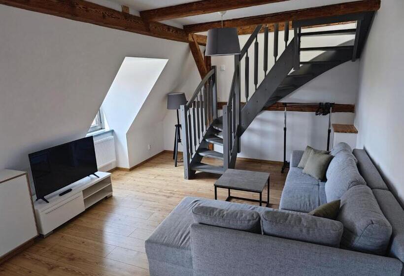 דירת דופלקס בת חדר שינה 1, Apartmány 91 Boží Dar