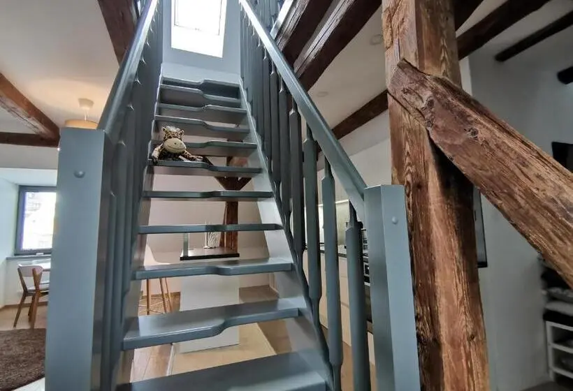 景色の見える一ベッドルームアパートメント, Apartmány 91 Boží Dar