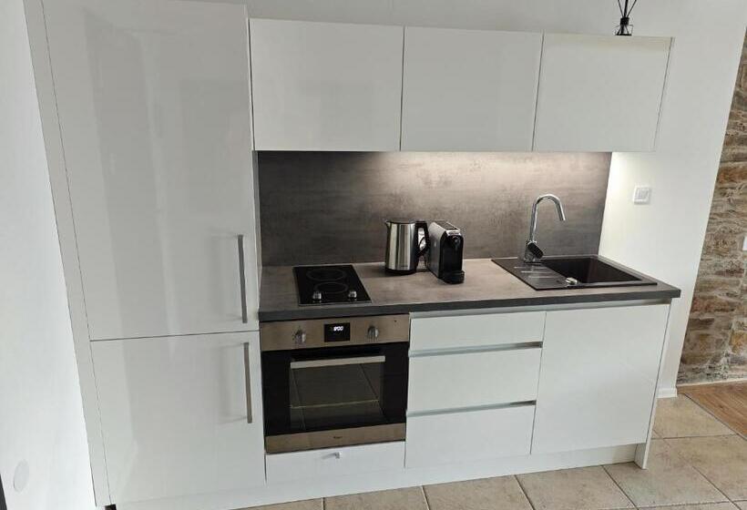 חדר סטודיו סטנדרד, Apartmány 91 Boží Dar