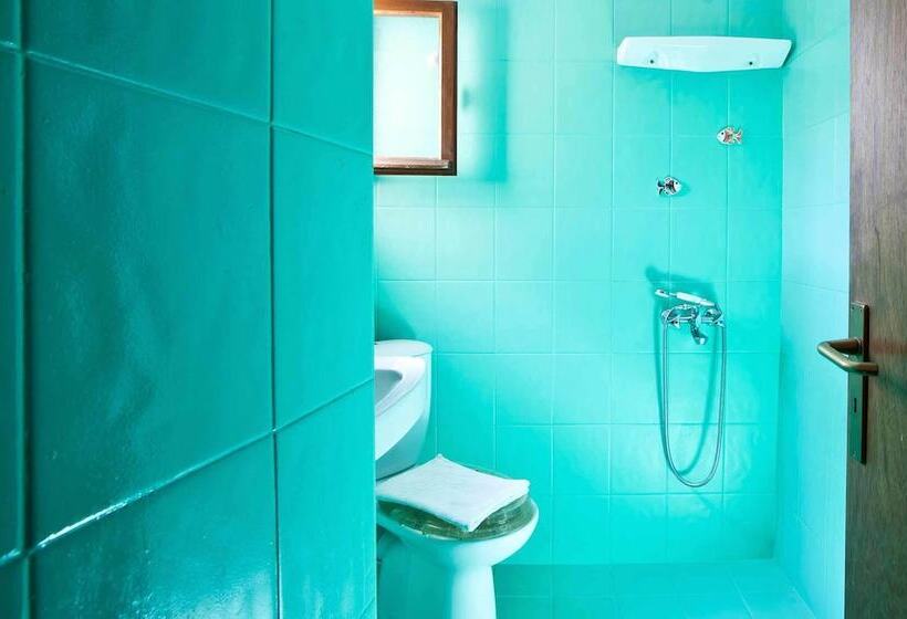 شقة غرفة واحدة, Anthippi