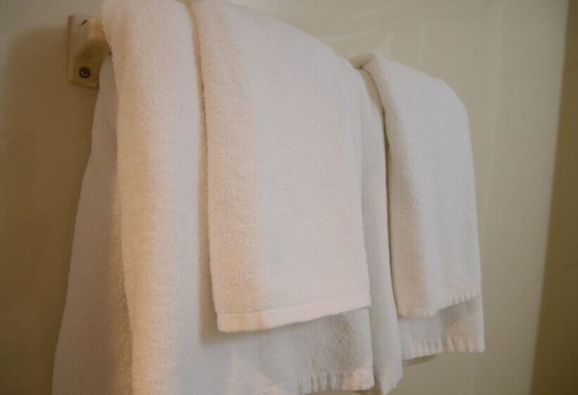 Standard Szoba, Grand Park Hotel Panex Tokyo