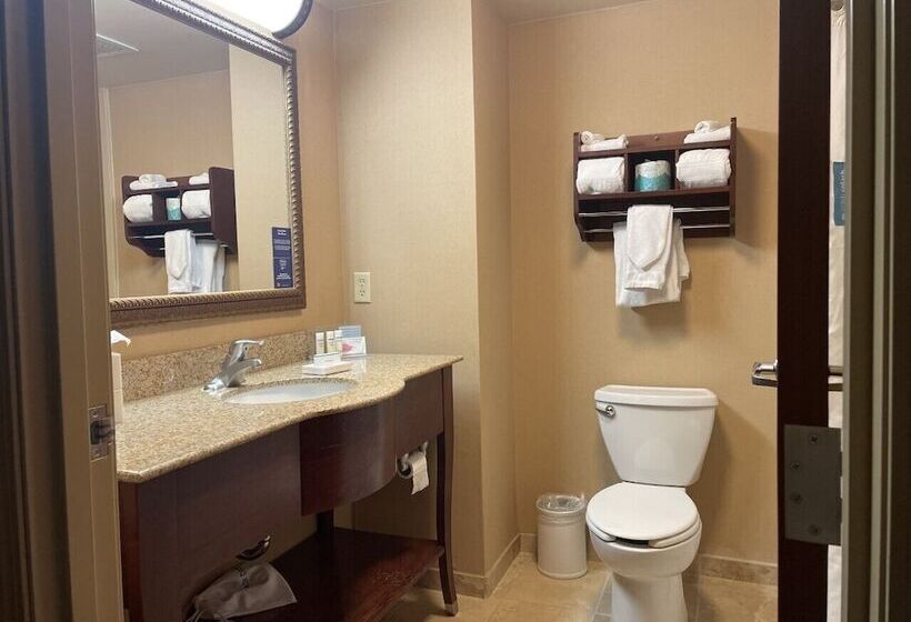 غرفة قياسية, Hampton Inn Rawlins