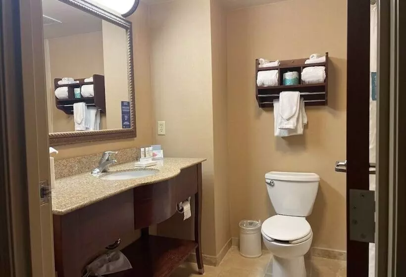 スタンダードルーム, Hampton Inn Rawlins