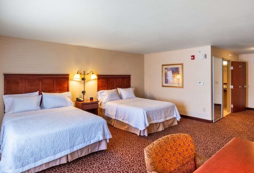 Номер Стандарт, Hampton Inn Rawlins