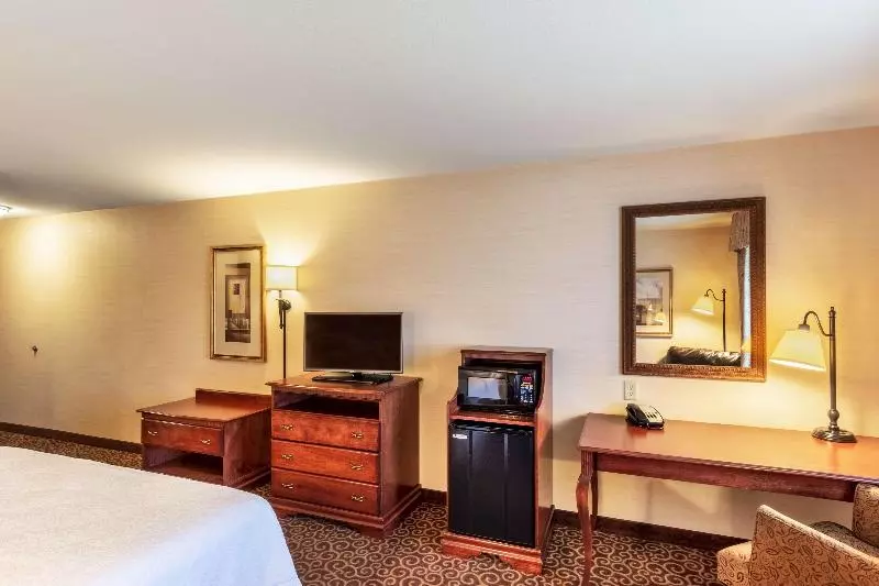 キングサイズベッドのデラックスルーム, Hampton Inn Rawlins