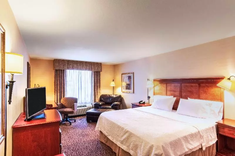 キングサイズベッドのデラックスルーム, Hampton Inn Rawlins
