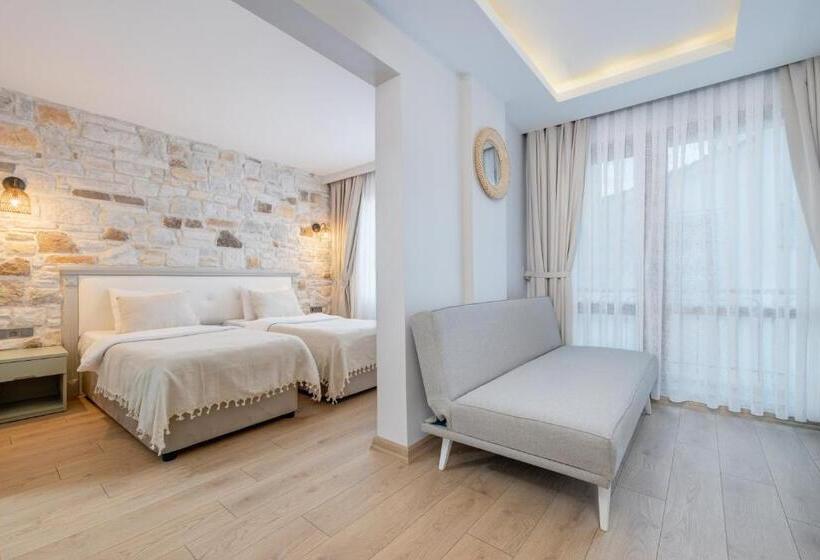 غرفة قياسية, Hanedan Otel