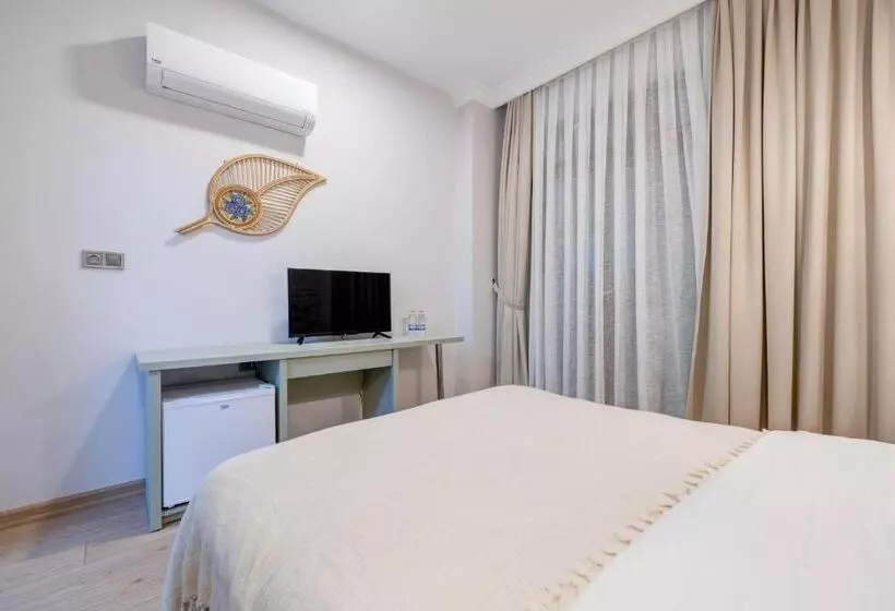 身障者適用スタンダードルーム, Hanedan Otel