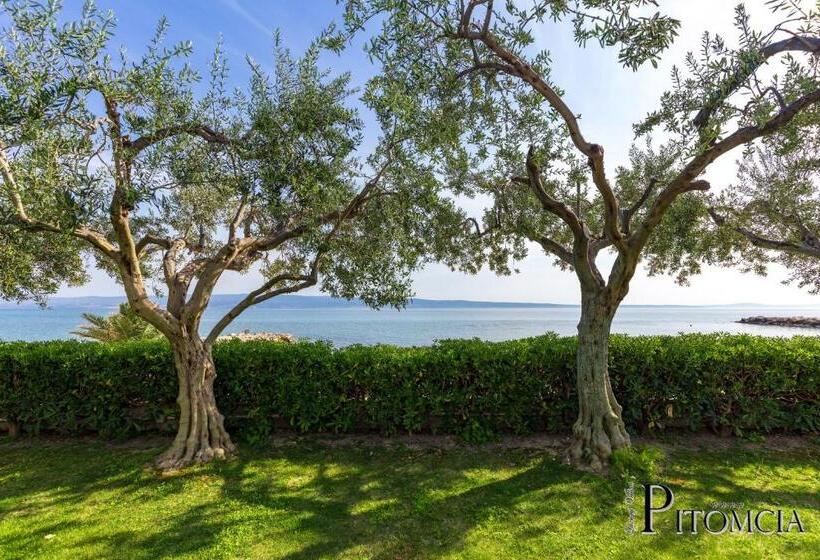 海景标准间露台, Villa Pitomcia