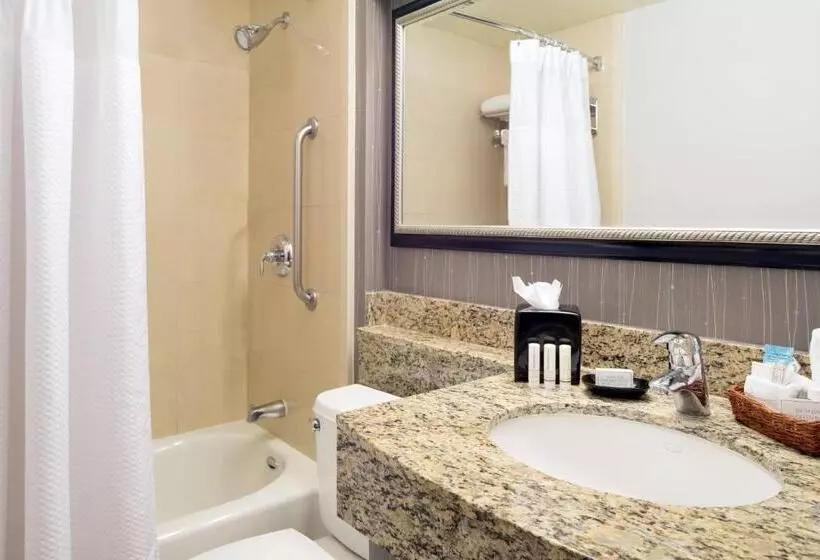 اتاق استاندارد با تخت بزرگ, Courtyard By Marriott Sacramento Cal Expo