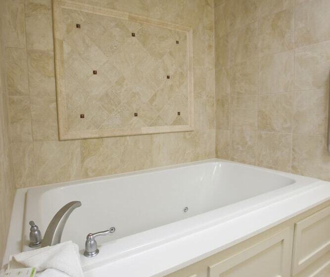 جناح إدارى, Embassy Suites Buffalo