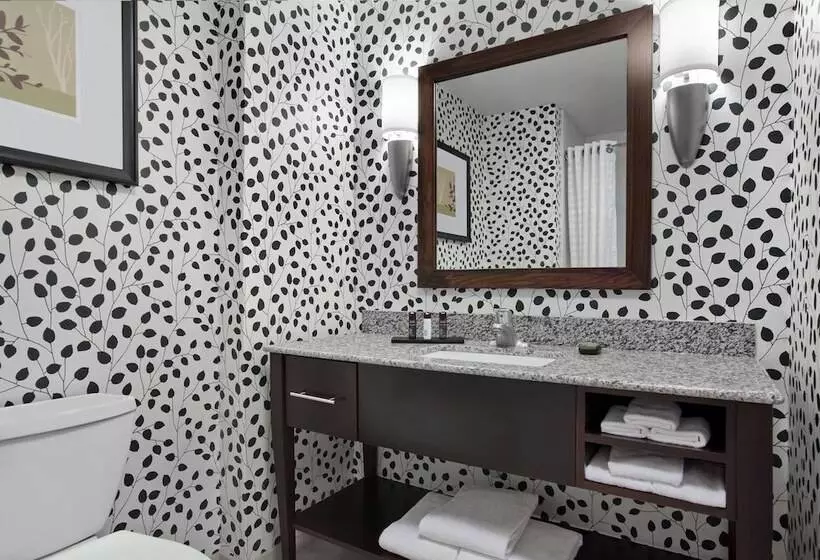 سوییت, Embassy Suites Buffalo