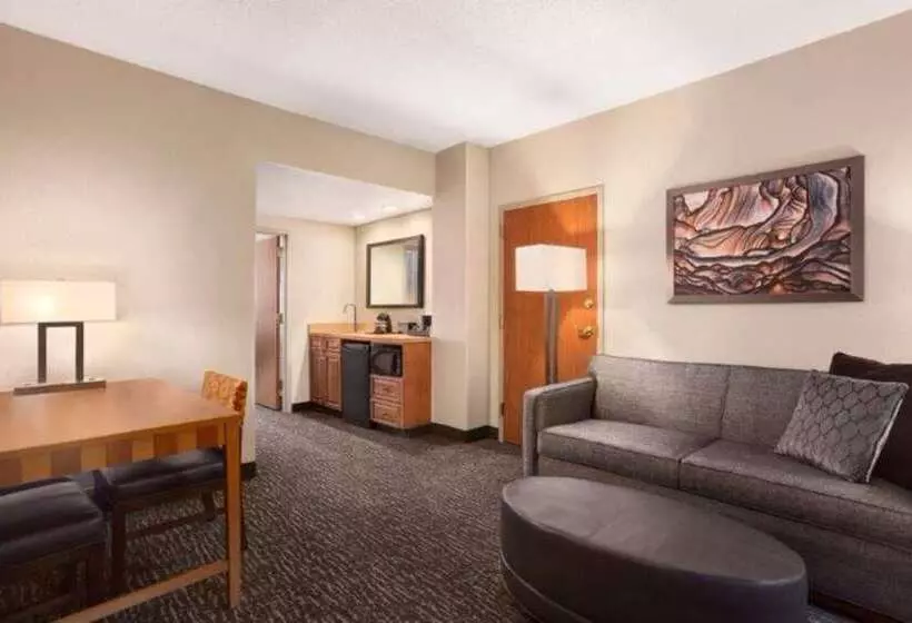 سوییت, Embassy Suites By Hilton At Hot Springs Convention Center
