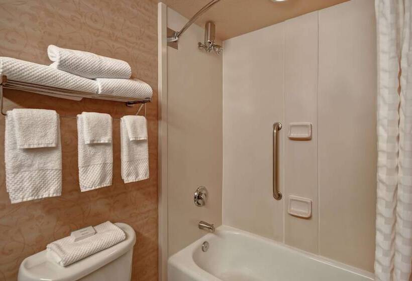 Люкс Адаптированный для Инвалидов, Embassy Suites By Hilton At Hot Springs Convention Center