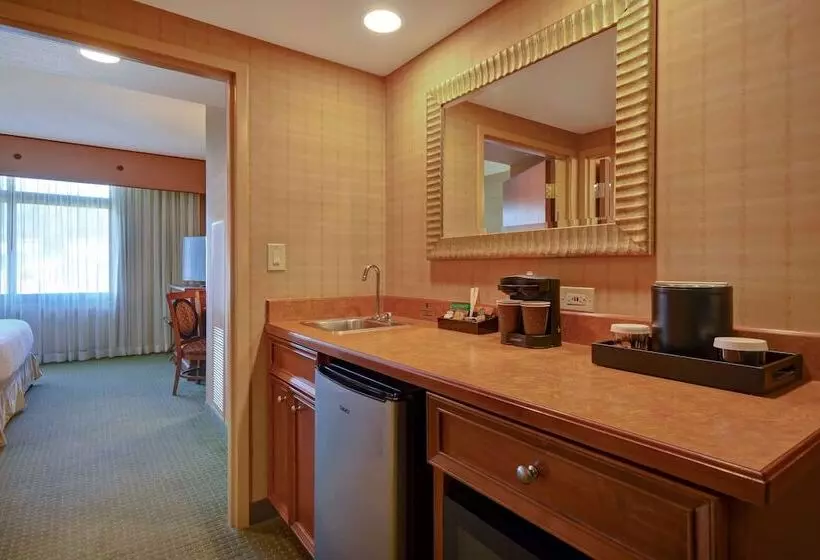 身障者適用スイートルーム, Embassy Suites By Hilton At Hot Springs Convention Center