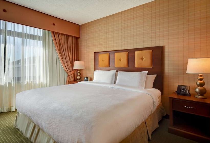 جناح لذوى الاحتياجات الخاصة, Embassy Suites By Hilton At Hot Springs Convention Center