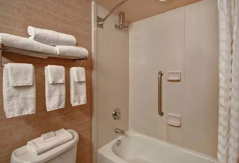 プレミアムスイート, Embassy Suites By Hilton At Hot Springs Convention Center