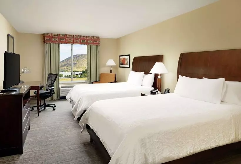 スタンダードルーム, Hilton Garden Inn Fontana