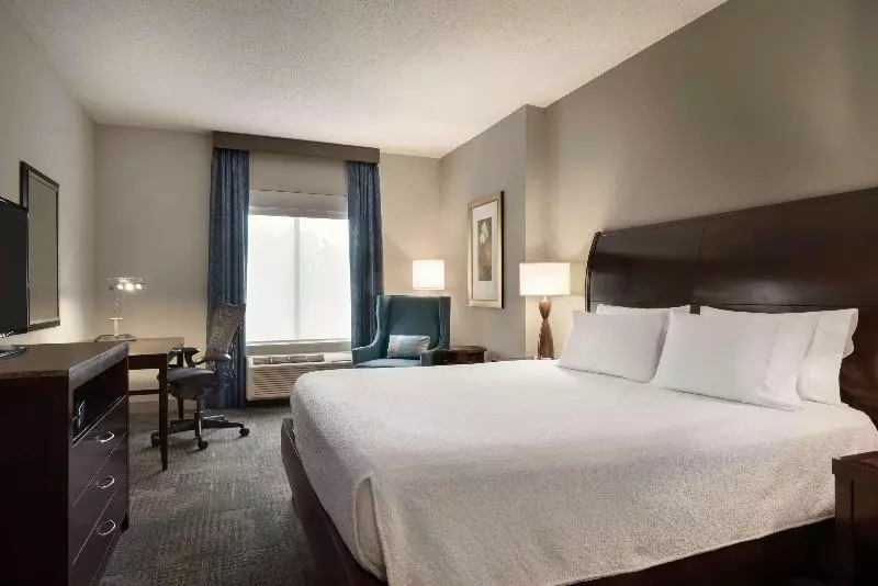 اتاق استاندارد با تخت بزرگ, Hilton Garden Inn Minneapolis Downtown