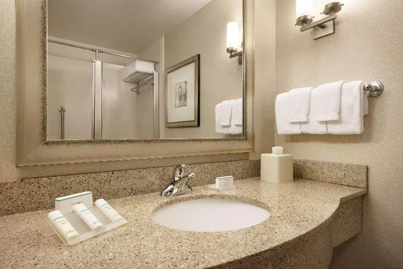 اتاق استاندارد با تخت بزرگ, Hilton Garden Inn Minneapolis Downtown