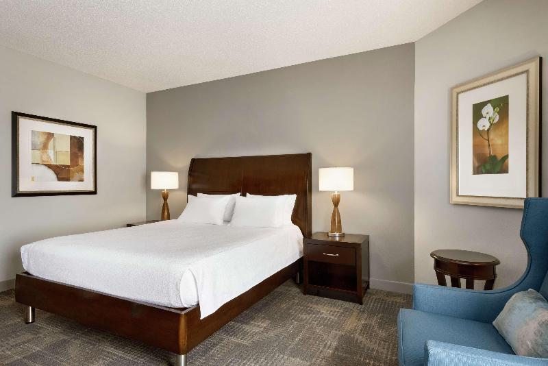 스탠다드 룸 킹사이즈 침대, Hilton Garden Inn Minneapolis Downtown