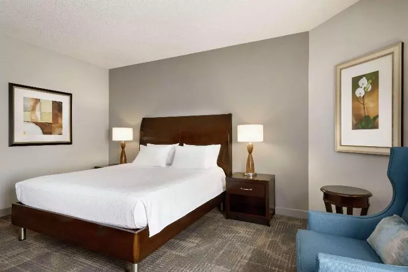 اتاق استاندارد با تخت بزرگ, Hilton Garden Inn Minneapolis Downtown