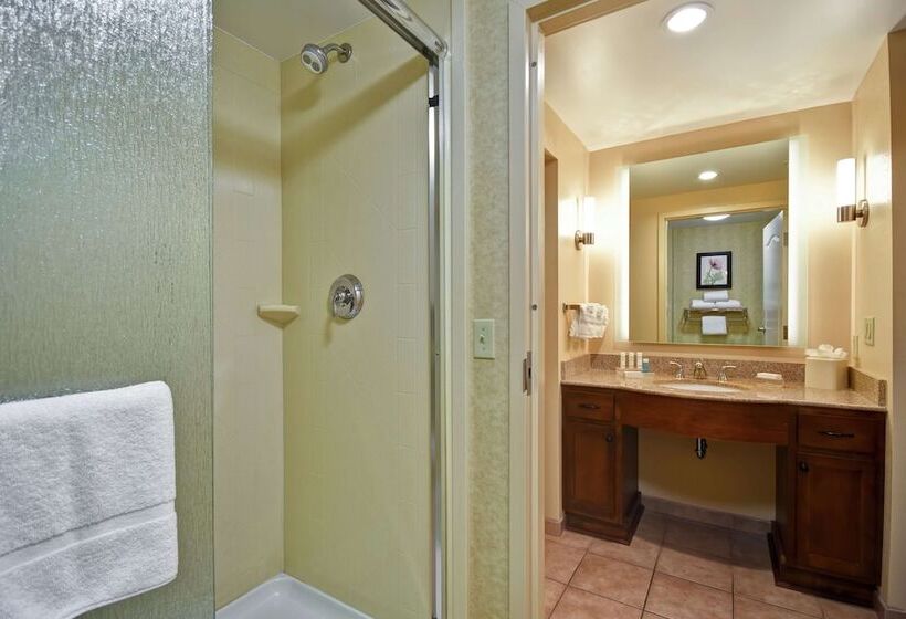 带双人床的标准工作室, Homewood Suites Lancaster