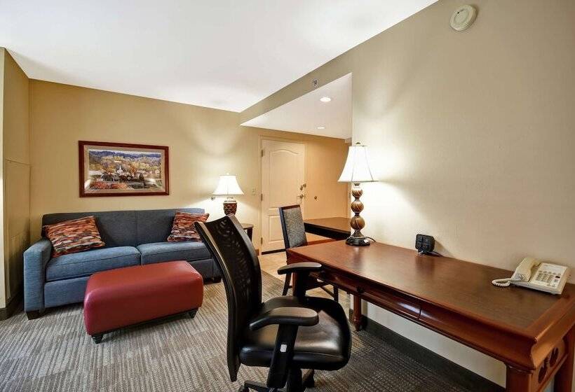带双人床的标准工作室, Homewood Suites Lancaster