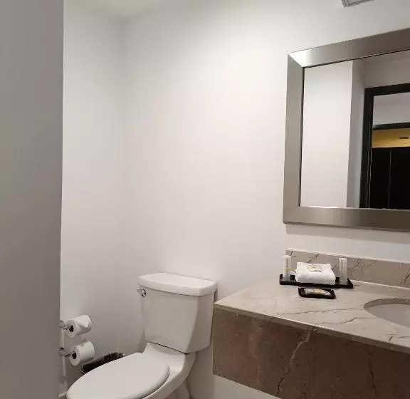 سوئیت پرزیدنت, La Quinta By Wyndham Puebla Palmas Angelopolis