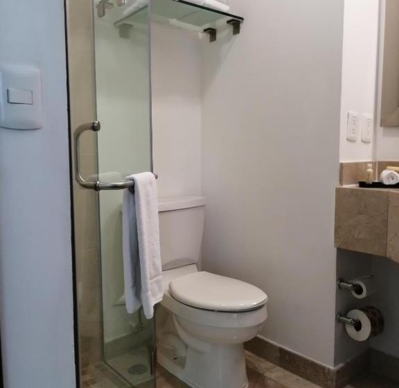 غرفة قياسية سرير كينج, La Quinta By Wyndham Puebla Palmas Angelopolis