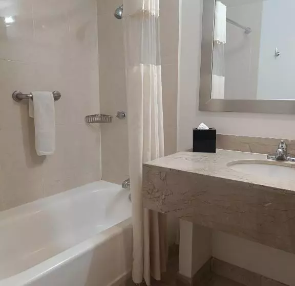 سوییت خانوادگی, La Quinta By Wyndham Puebla Palmas Angelopolis