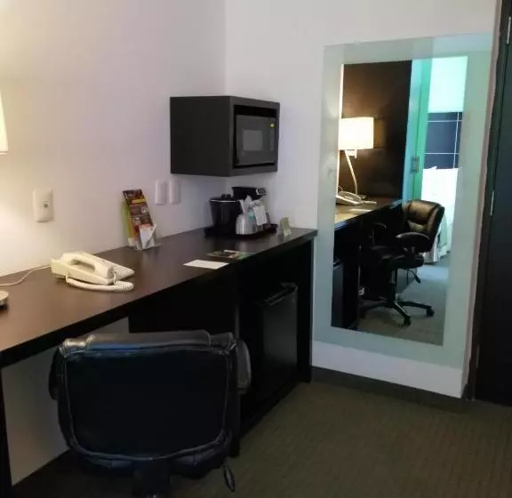 اتاق دلوکس مخصوص معلولین, La Quinta By Wyndham Puebla Palmas Angelopolis
