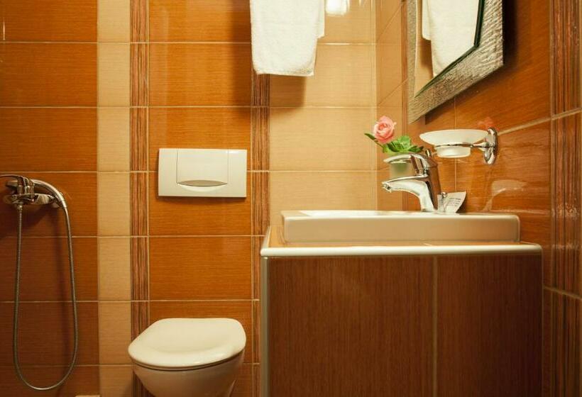 חדר דלוקס עם מרפסת, Meteoritis