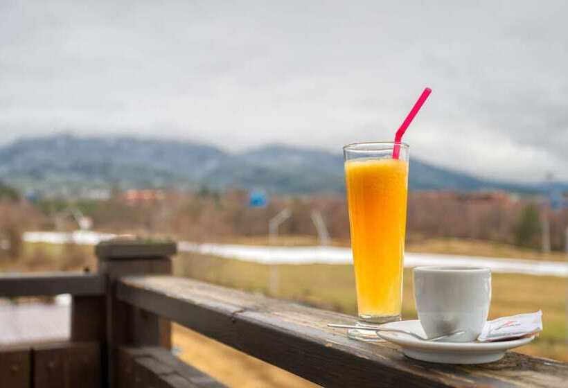 غرفة تنفيذية, Mpm Hotel Sport Ski In, Ski Out