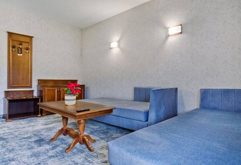 شقة غرفة واحدة, Mpm Hotel Sport Ski In, Ski Out