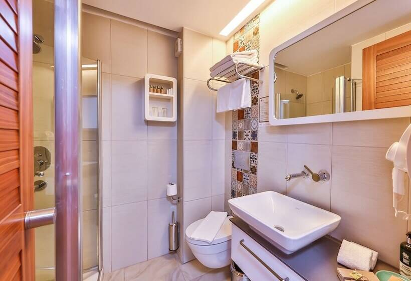 اتاق استاندارد, Olea Nova