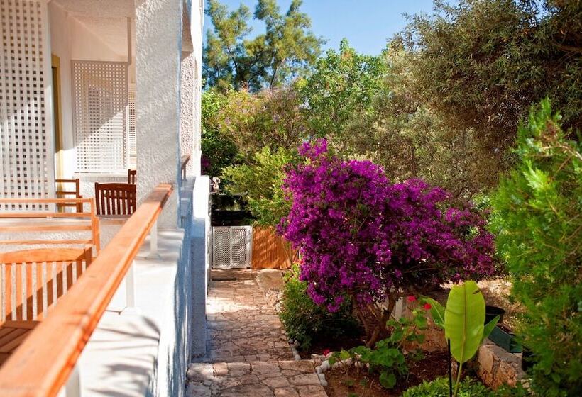 اتاق استاندارد, Olea Nova