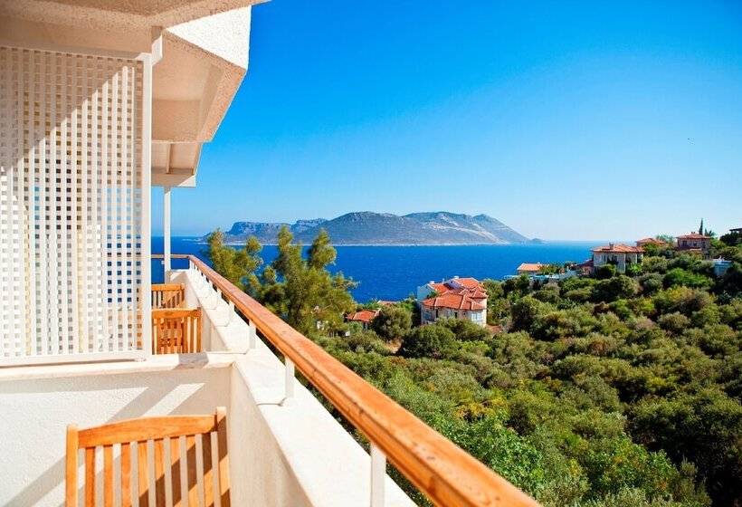 اتاق اساندارد با چشمانداز جانبی به دریا, Olea Nova