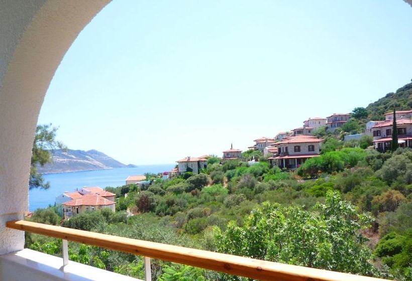 اتاق اساندارد با چشمانداز جانبی به دریا, Olea Nova