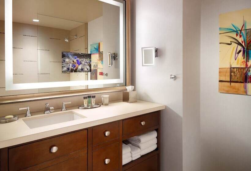 デラックスルーム, Omni Dallas