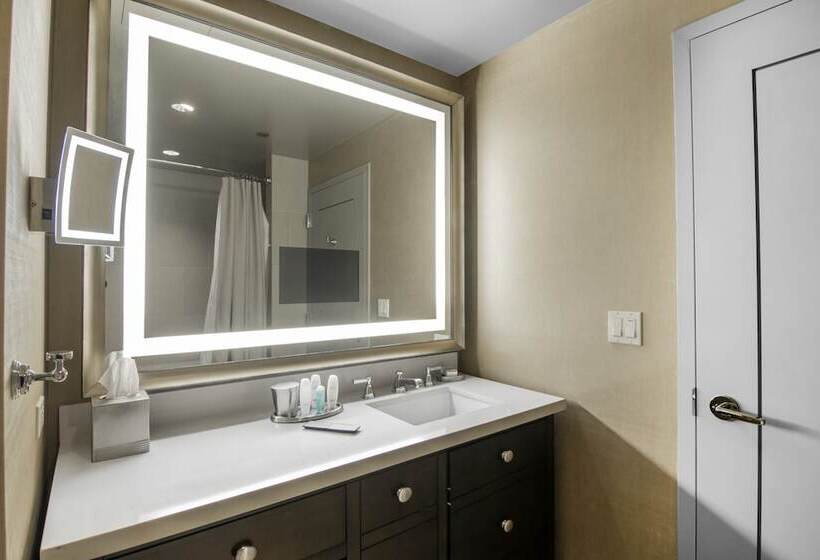 デラックスルーム, Omni Dallas