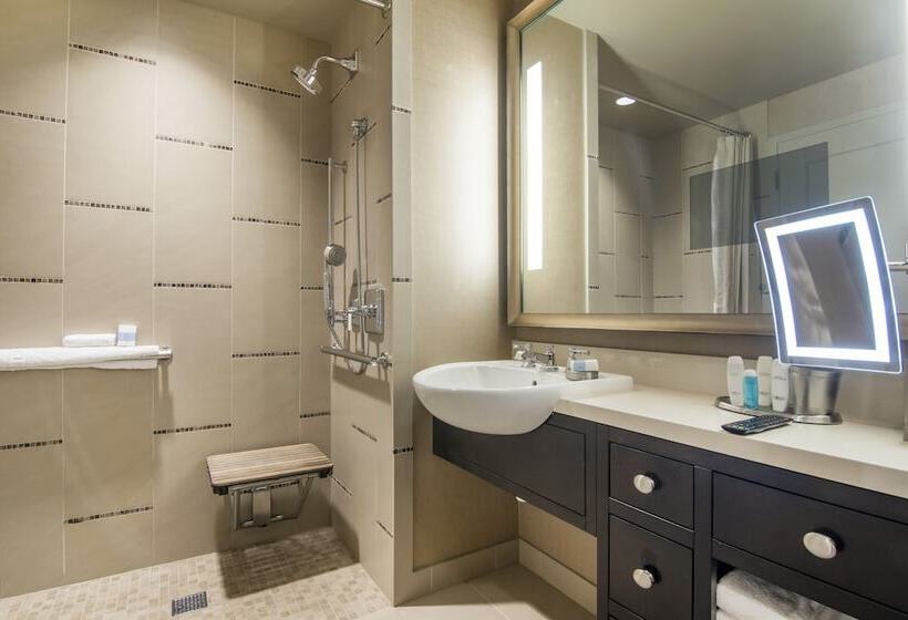 障害者適応デラックスルーム, Omni Dallas