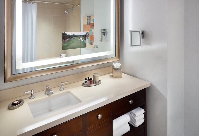 障害者適応デラックスルーム, Omni Dallas