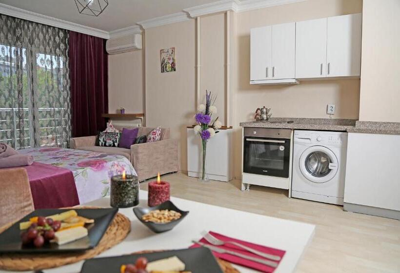 패밀리 스위트, Memory Suites