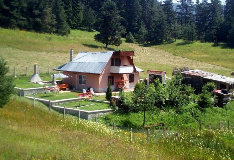 ビラホテル１ベッドルーム, Tolem