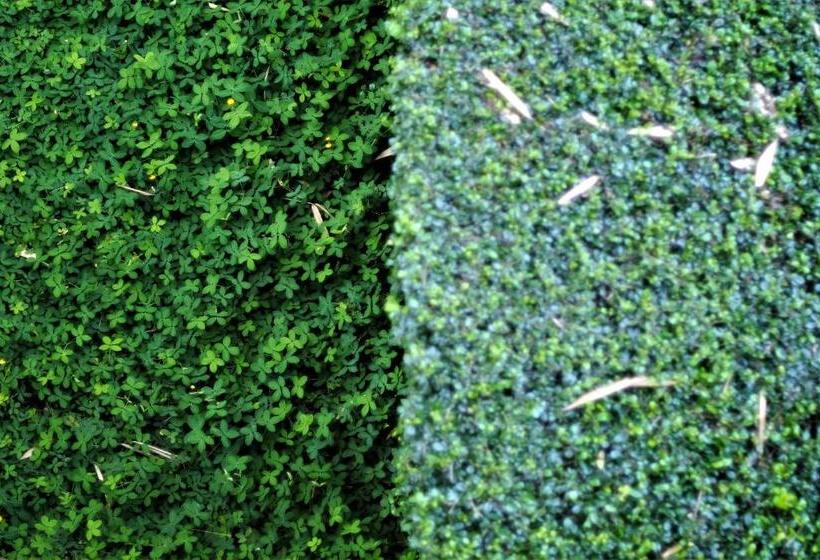 수피리어 룸, Yoma Hotel, Pai